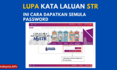 Lupa Kata Laluan STR 2025, Ini Cara Dapatkan Semula Password